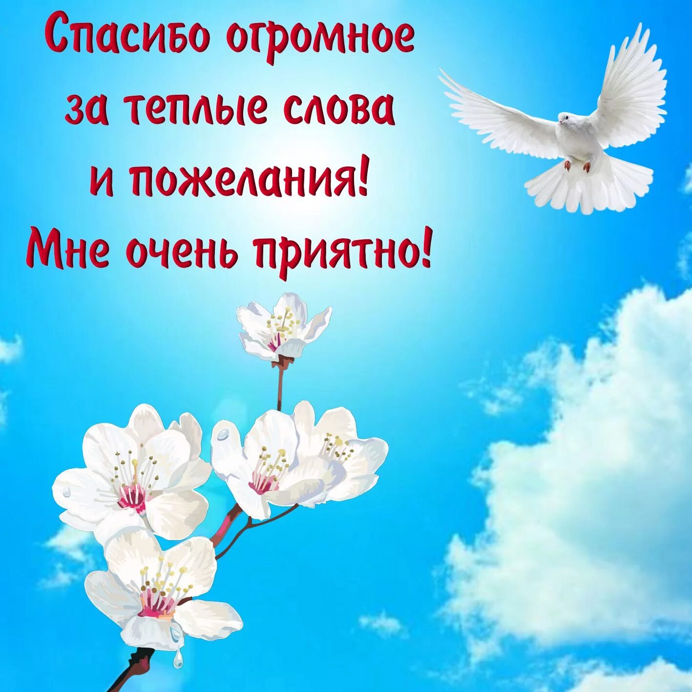 Мирного неба над головой с днем рождения. Спасибо за поздравления. Открытка спасибо за поздравления. Спасиботза поздравления. Спасибоза поздравленич.