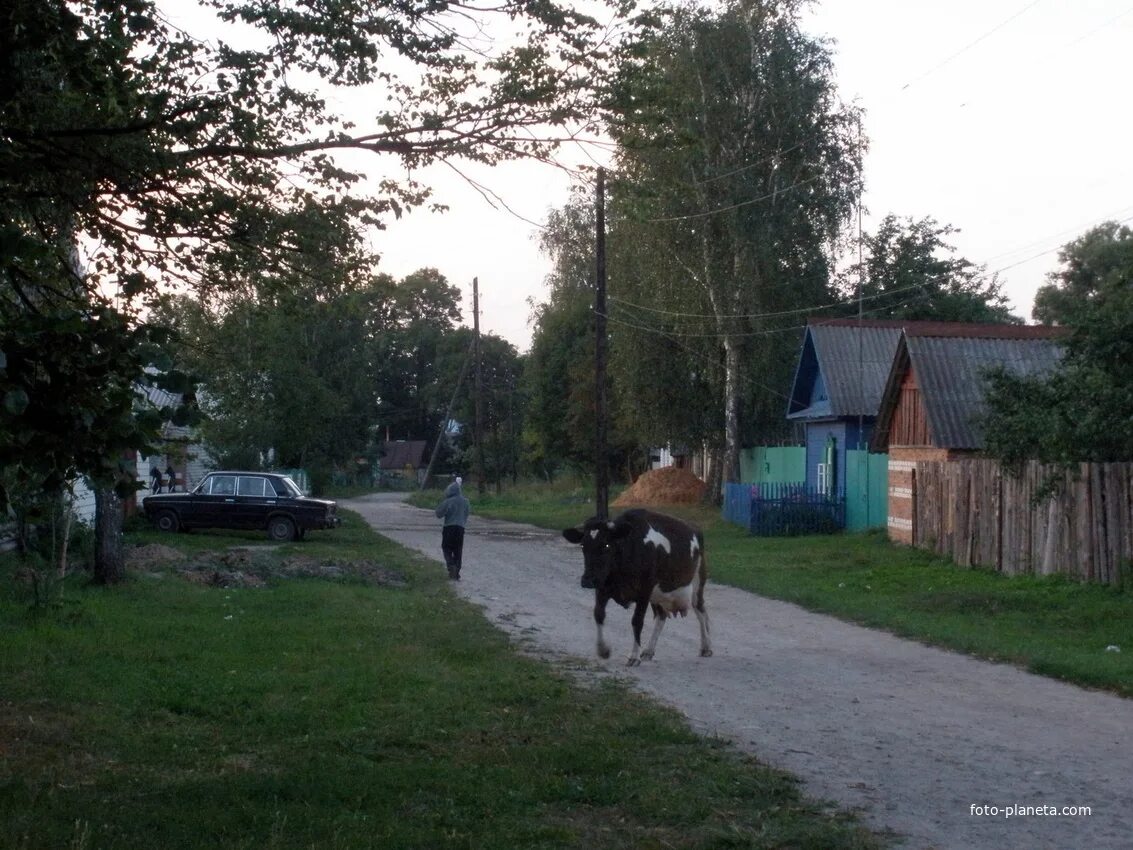 Клинцовский район с. Коржовка. Брянская область коржано-Голубовка. Коржовка-Голубовка Клинцовский район. Село Коржовка Голубовка Клинцовского района Брянской. Погода в коржовке голубовке