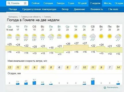 Почасовой прогноз погоды в гомеле на завтра