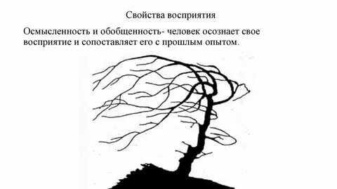 Процесс восприятия картины это