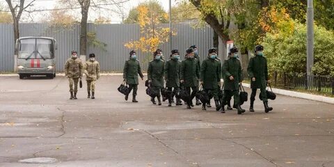 Мобилизация 24 г
