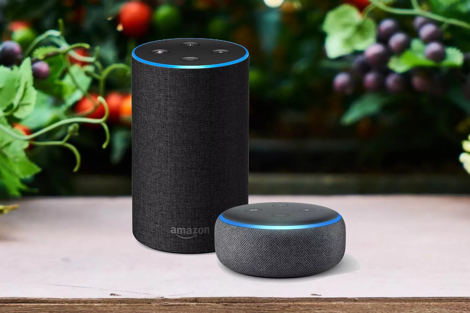 Колонка Амазон Алекса. Колонка Echo Amazon. Умная колонка Amazon Alexa. Голосовой помощник Амазон Алекса. Умная колонка за голосование