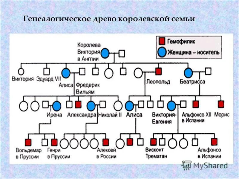 Родословное Древо королевы Виктории. Генеалогическое Древо королевы Виктории и ее потомков. Родословная Рахманинова схема генетика. Родословное королевы Виктории биология 9 класс. Родословная гемофилии