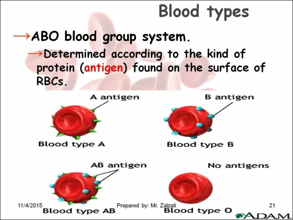 Как по английски кровь. Blood Type. Blood Types in English. Blood Group Types. Группы крови на английском.