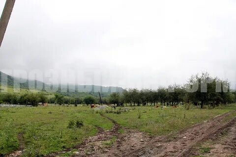 Улус керт