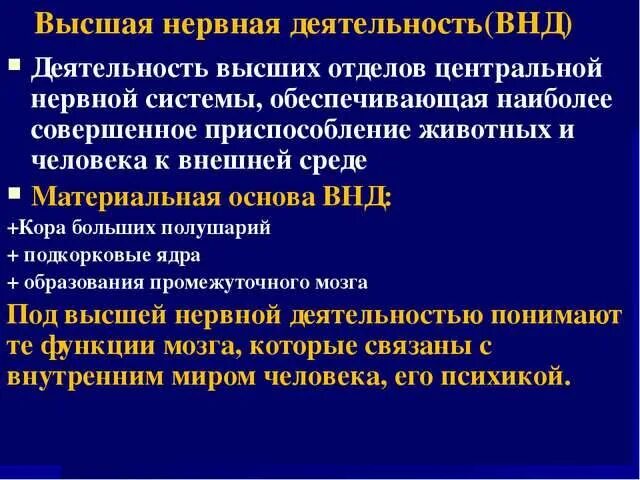 Высшая нервная деятельность человека кратко. Основные функции высшей нервной деятельности. Высшая нервная деятельность кратко. Высшая нервная деятельность (ВНД). Основа высшей нервной деятельности человека.