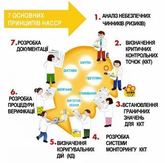 Внедрение хассп
