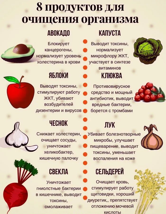 Список полезного питания. Список продуктов полезных для печени. Продукты полезные для печени. Продукты очищающие кишечник. Перечень продуктов для печени.