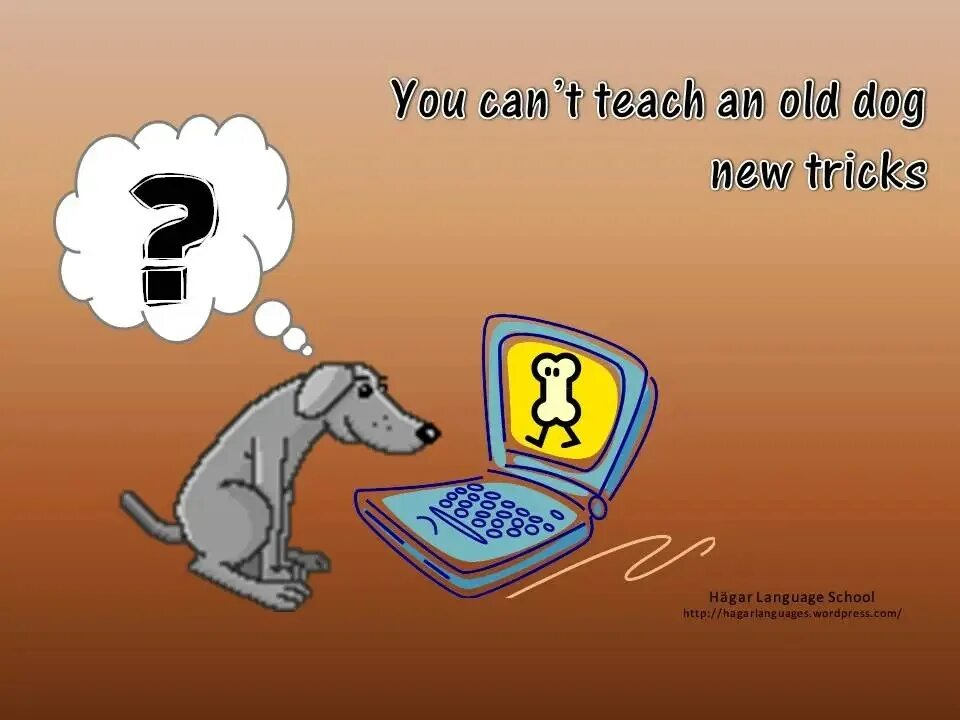 You can t teach an old Dog New Tricks. Teach an old Dog New Tricks. Old Dog, New Tricks. Idiom teach an old Dog New Tricks. Such an old