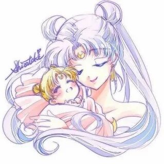 Web usagi