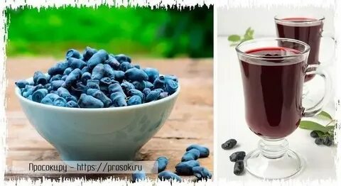 Компот из жимолости с чем сочетается