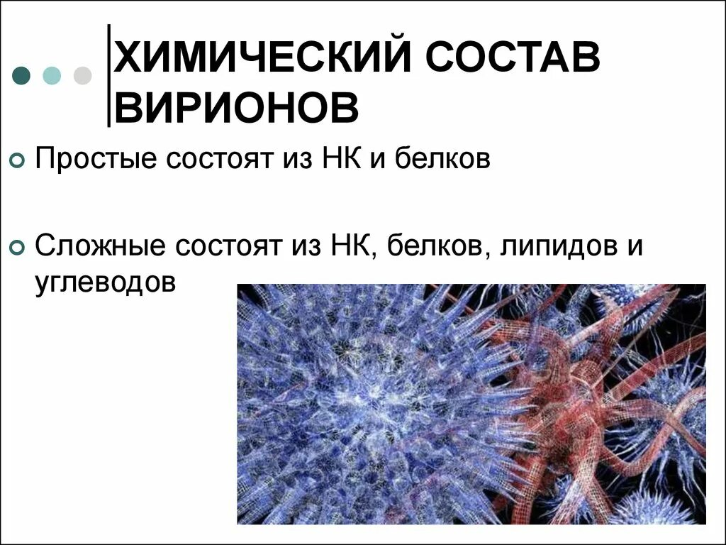 Химический состав вирионов. Химический состав вир онов. Простые и сложные вирусы. Структура и химический состав вириона.