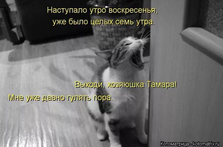 Выйду в семь утра