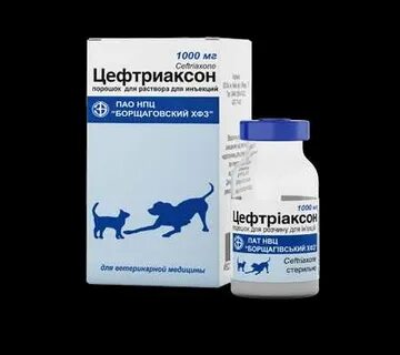 Можно кошке колоть цефтриаксон