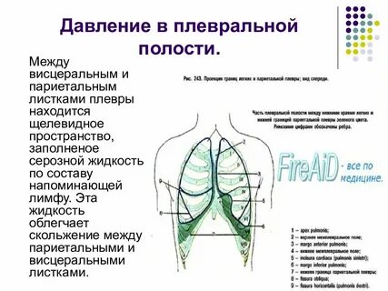 Между ними находится