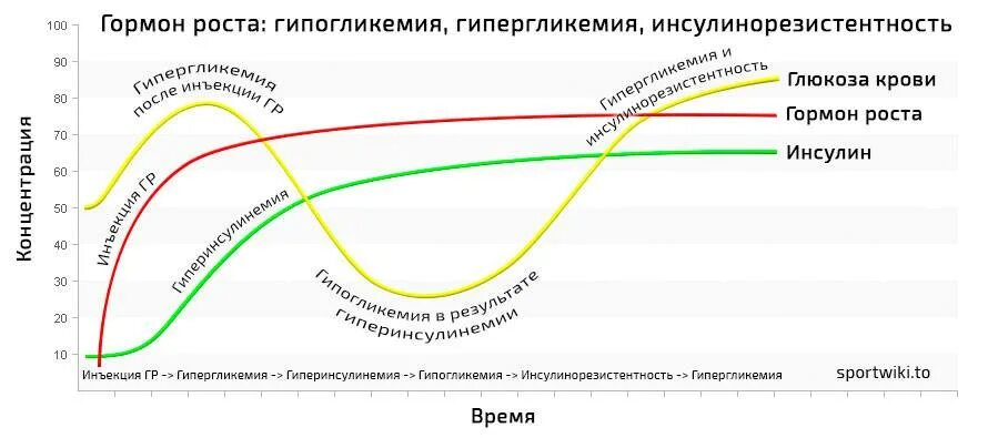 Поможет ли гормон роста. Пик выработки гормона роста. гормоны влияющие на рост инсулин. гормон роста и инсулин график. взаимосвязь инсулина и гормона роста.
