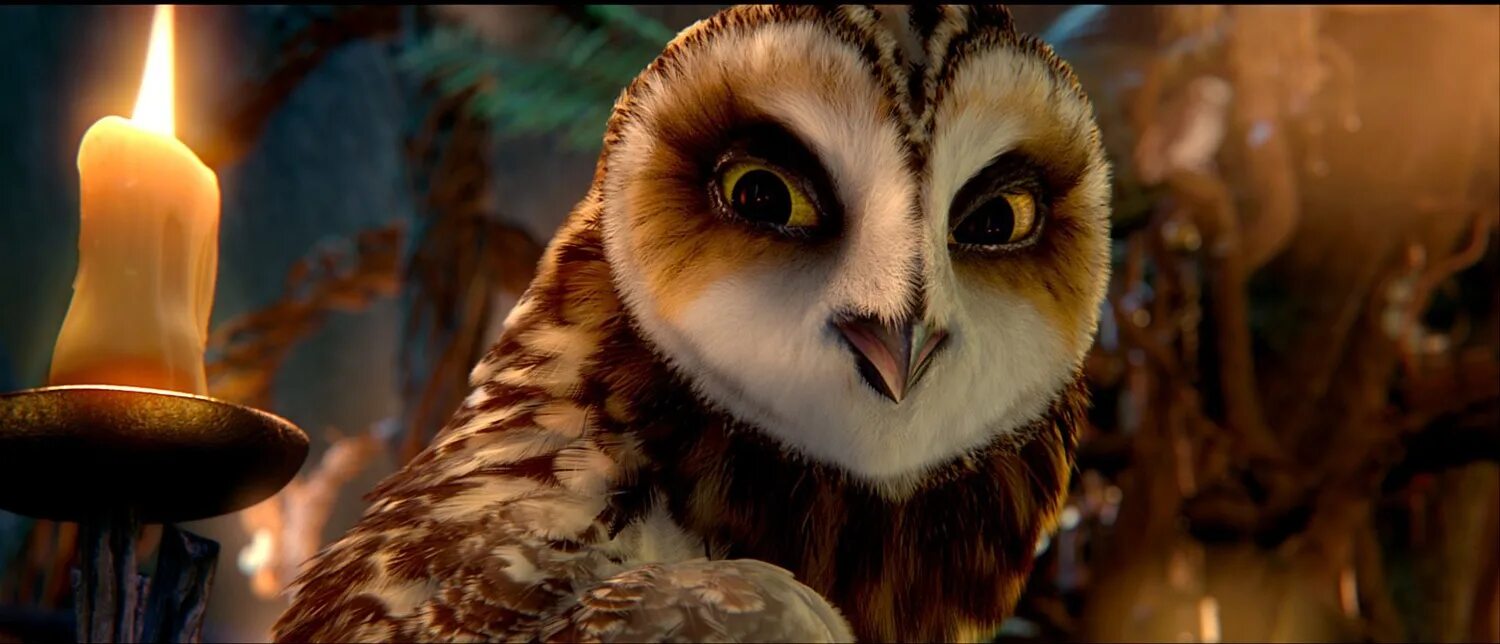 Ga hoole guardians the owls legend. Мультфильм про сов легенды ночных стражей. Легенды ночных стражей Отулисса. Легенда ночных стражей одулиса. Отулисса из ночных стражей.