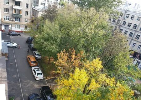 Беговая звенигород