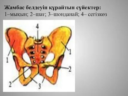 Мас ұйықтап жатқан әйелдер порно