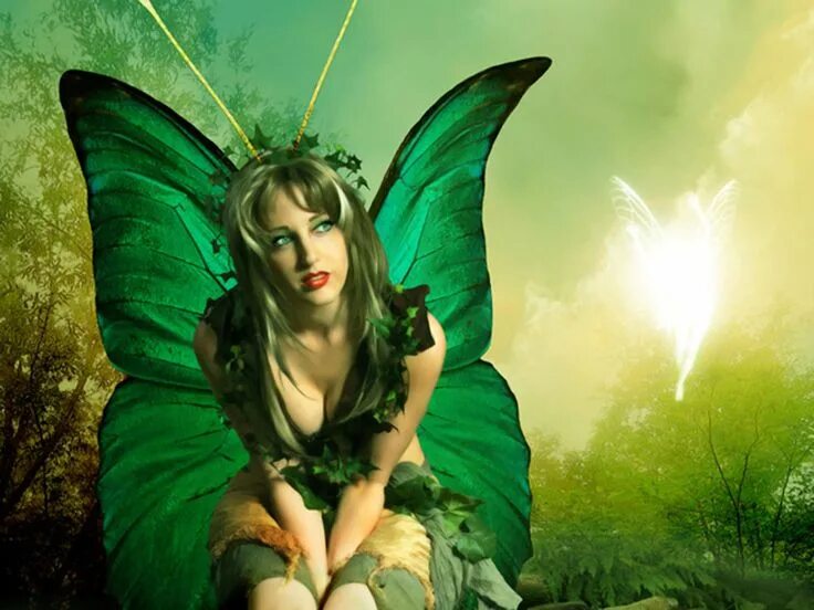 Fairy show