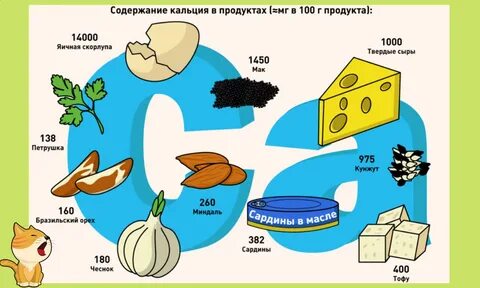 В каких продуктах кроме молочных содержится кальций