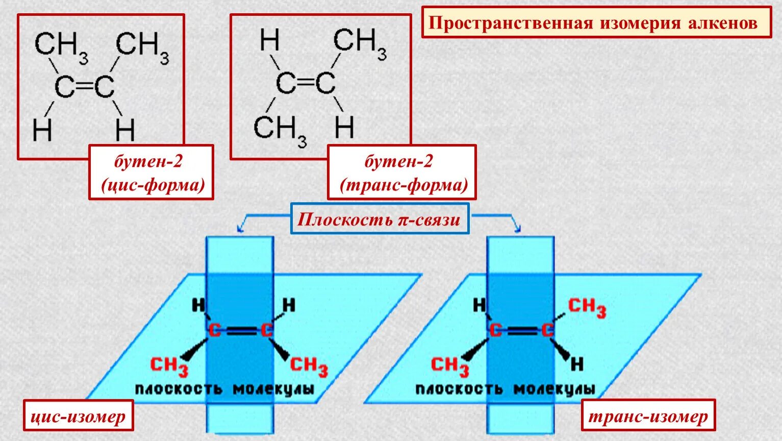 Пространственная изомерия алкенов. Цис изомер бутена 2. Пространственная изомерия алкенов цис- транс-. Цис бутен 2 изомерия