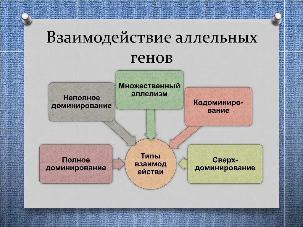 Типы взаимодействия людей пример