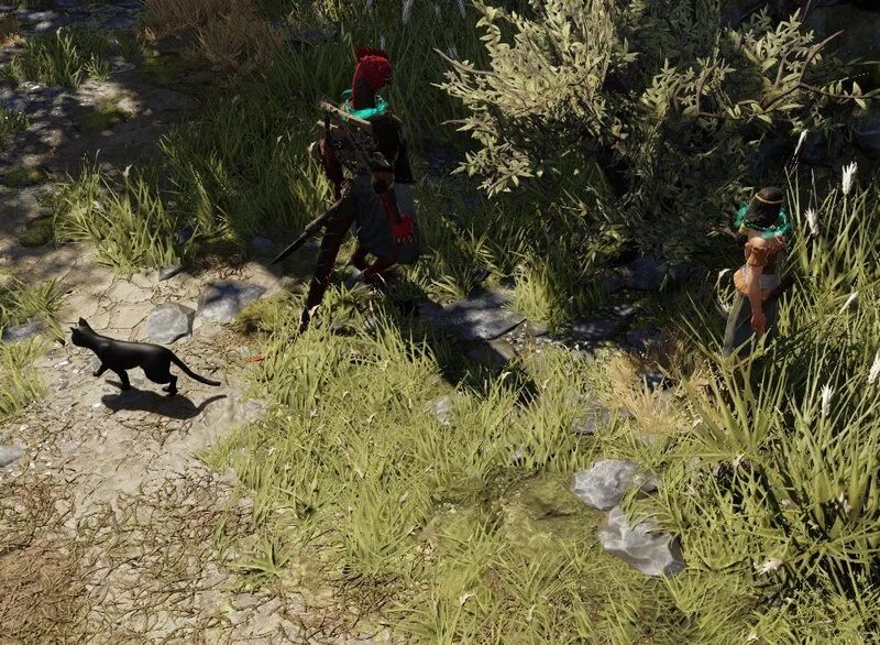 Divinity 2 кот. Дивинити черный кот. черный кот в divinity original sin 2. devine divinity original sin 2 черный кот. divinity 1 пустошь охотника.