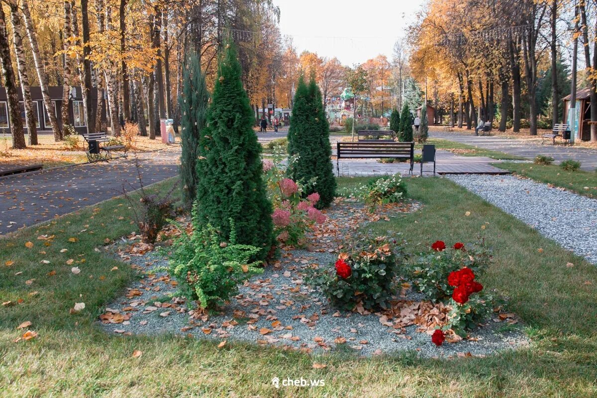 Николаевский парк. Парк Николаева Чебоксары. Детский парк им.Космонавта а. г. Николаева. Парк а г Николаева Чебоксары. Николаев в парке.