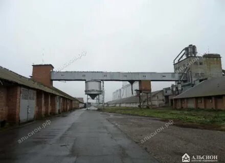Автоматический элеватор