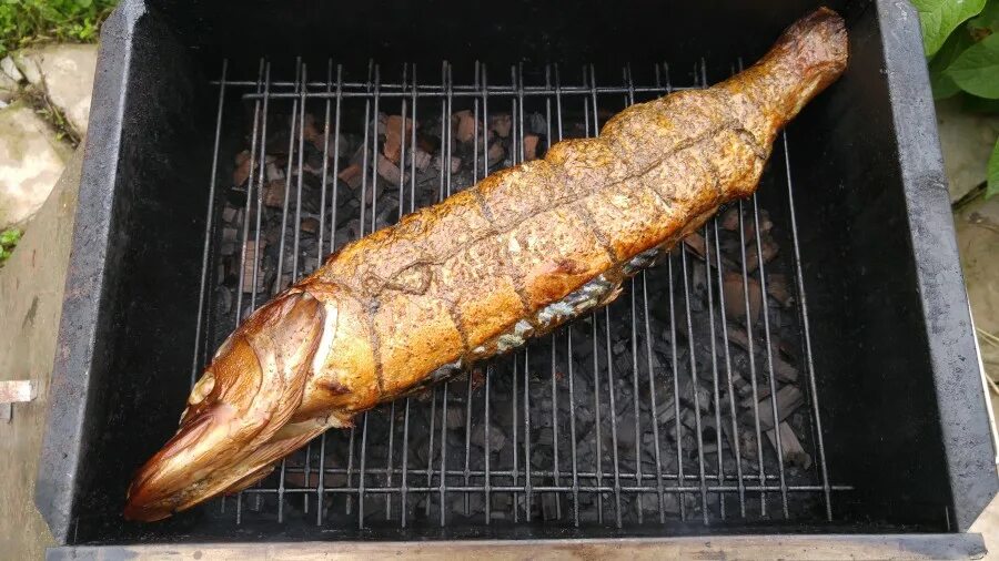 Щука горячего коп,ения. Копчение щуки. Юкола щуки холодного копчения. Щука в коптильне. Щука горячего коп,ения.