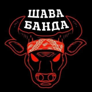 Шава вайб саров
