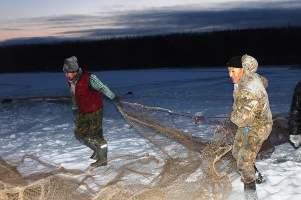 Якутская мунха. Рыбалка в Якутии мунха. Рыболовство в Сибири. Зимняя рыбалка.