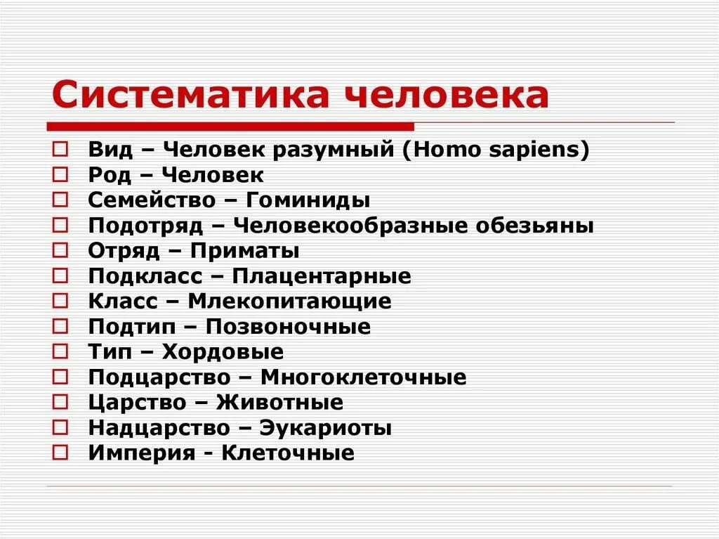 Биология в школе 2024. Систематика человека. Систематика человека биология. Систематическая классификация человека. Систематика человека разумного.