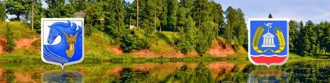 Городское поселение г п