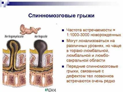 Спинномозговой канал это