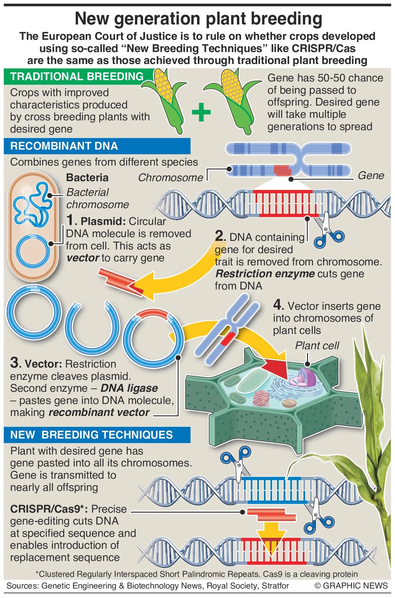 Breed new generation. New Plant breeding techniques. Генетические ножницы CRISPR/cas9. Gene Generation. Genetic Engineering vs Traditional breeding.