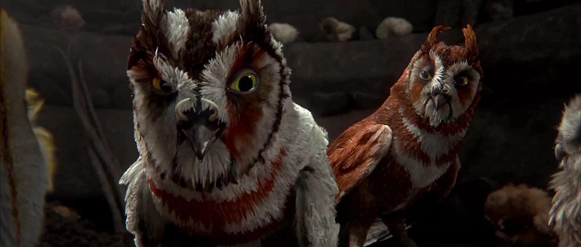Ga hoole guardians the owls legend. Легенды ночных стражей мультфильм. Ночные Стражи Клудд. Ночные Стражи Совы. Ночные Стражи мультфильм.