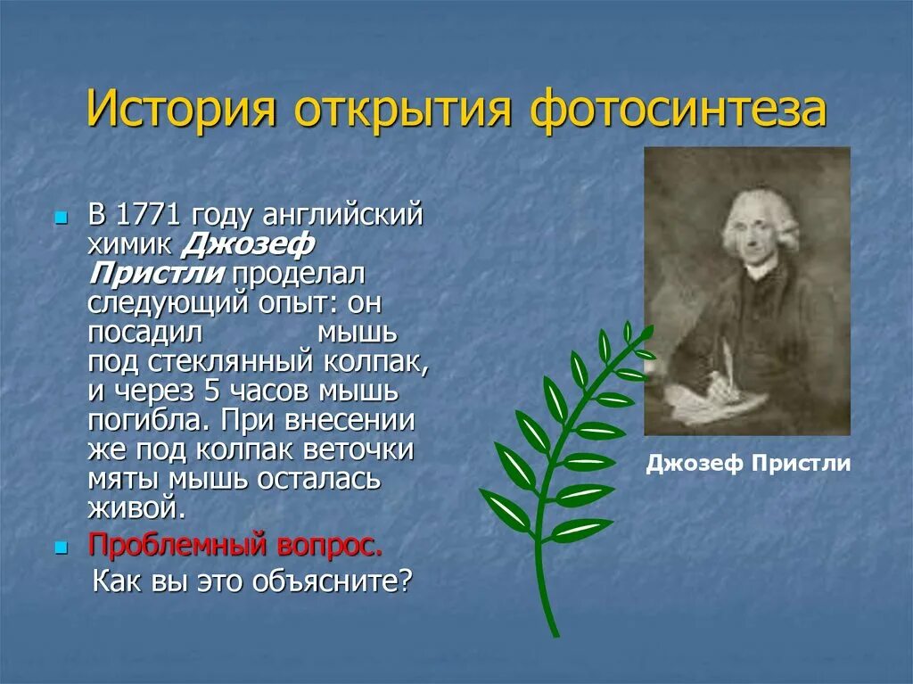 Впервые значение хлорофилла установил русский ученый. Проект фотосинтез 6 класс по биологии. Фотосинтез доклад по биологии 6 класс. Проект на тему фотосинтез. Фотосинтез 5 класс.