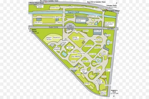 Zoological society