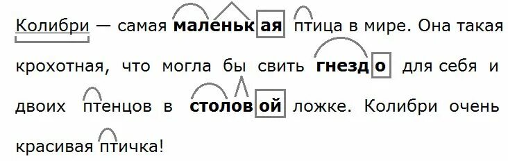 Окончание слова птицы. Однокоренные слова к слову птица. Птица корень слова. Корень в слове птица и птичка. Птица корень и однокоренные слова.