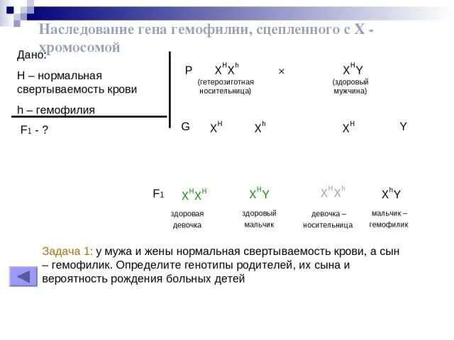 Мужчина больной гемофилией вступает в брак. Задачи по генетике по гемофилии. Наследование гемофилии гемофилия сцепленное. Признак сцепленный с х хромосомой задачи. Наследование сцепленное с полом.