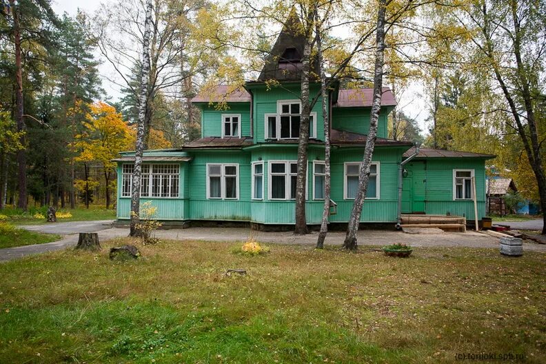 прогулка по ушково. ушково ленинградская область. ушково ленинградская область. рогалева ушково - тюрисева. дача данилевского ушково.