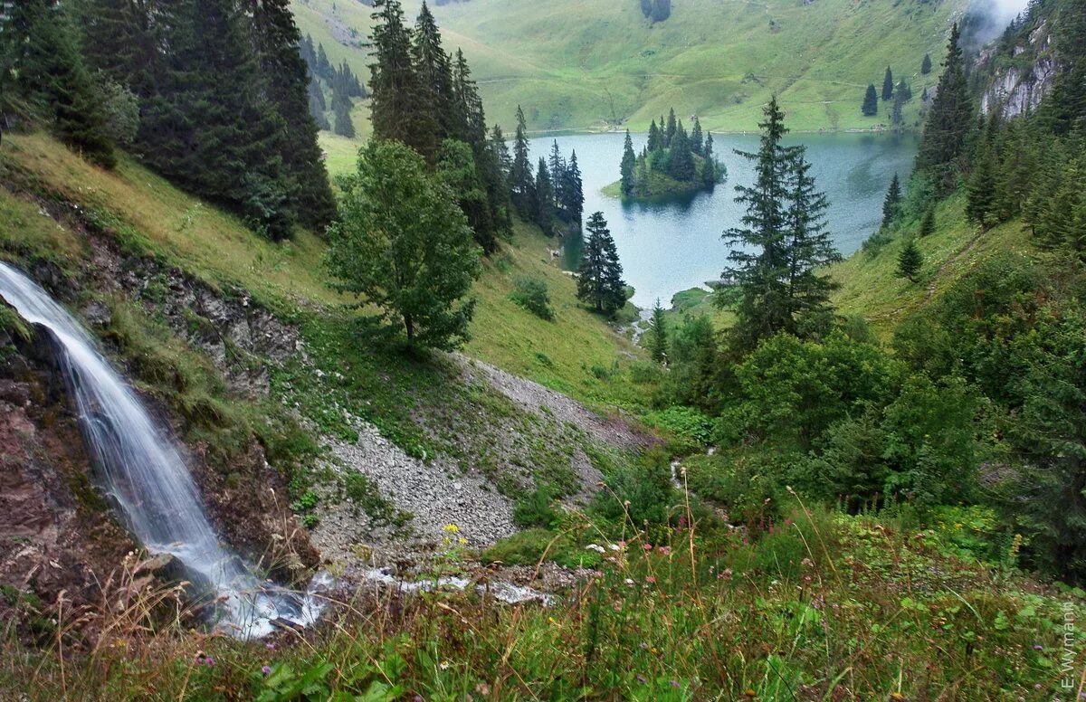 Хрустальный родник вода