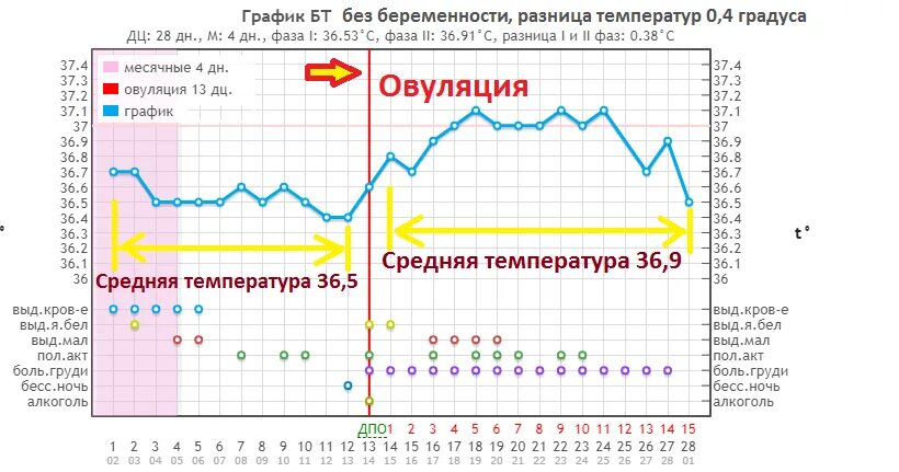 Беременность без овуляции. Небеременный график базальная температура. Нормальный график базальной температуры при беременности. Овуляторный цикл график базальной температуры. Графики нормальной базальной температуры.