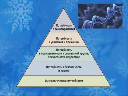 Укажите потребности человека которые относятся к социальным