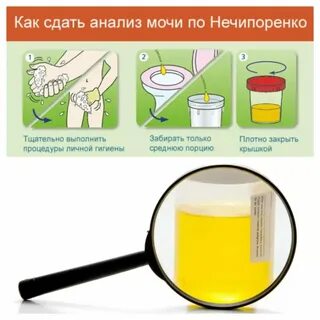 Нечипоренко правила сбора