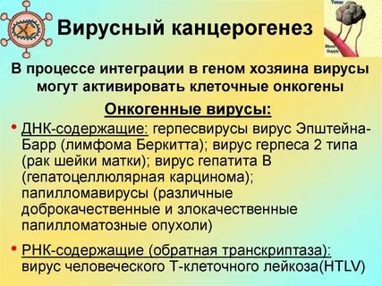 Вирусный канцерогенез