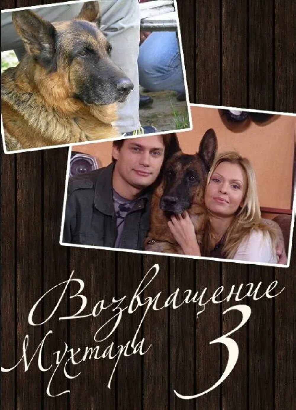 Возвращение мухтара 2 3. Возвращение мухтара 3. возвращение мухтара 3 сериал. возвращение мухтара максим и мухтар 3 сезон. возвращение мухтара 3 постер.