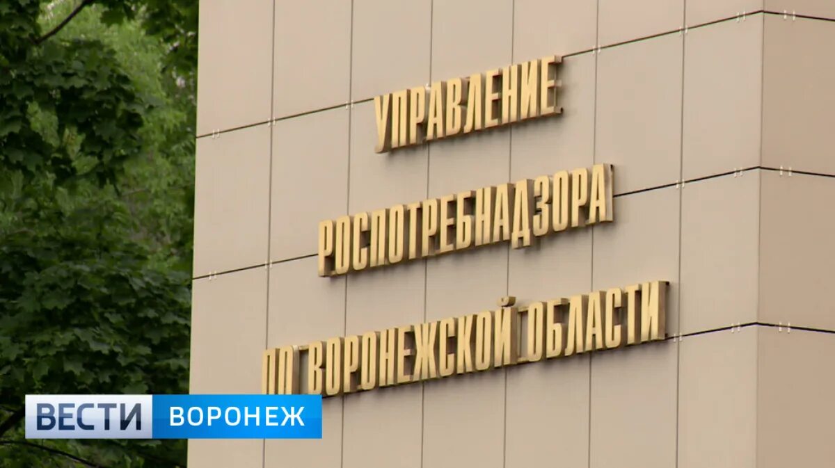 Роспотребнадзор Воронеж здание. Роспотребнадзор на Космонавтов Воронеж. Сайт роспотребнадзора воронежской области